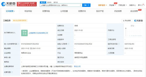 社会经济咨询服务 驱动现代商业决策与发展的隐形引擎